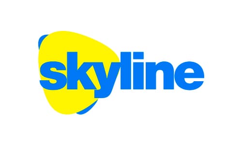 SkyLine uz – личный кабинет