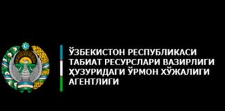 Государственный комитет лесного хозяйства Узбекистана (urmon.uz)