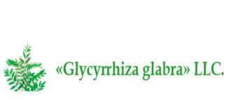 Глициризин Глабра (licorice.uz)